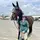 Hopes Eq