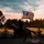 SCshowjumping 