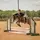 Payton_eq