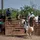 bullrider