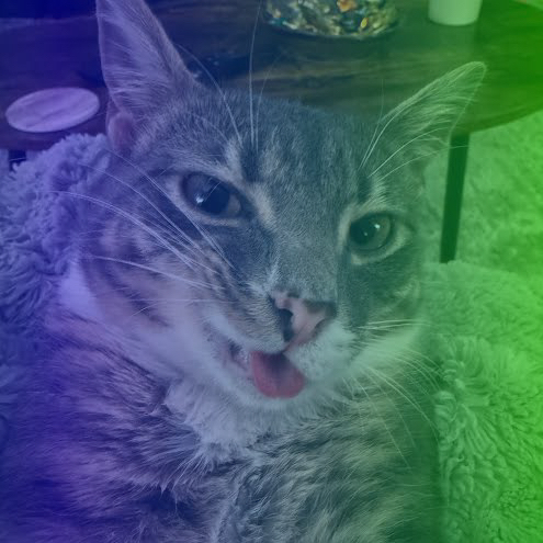 chaoz 😼💫
