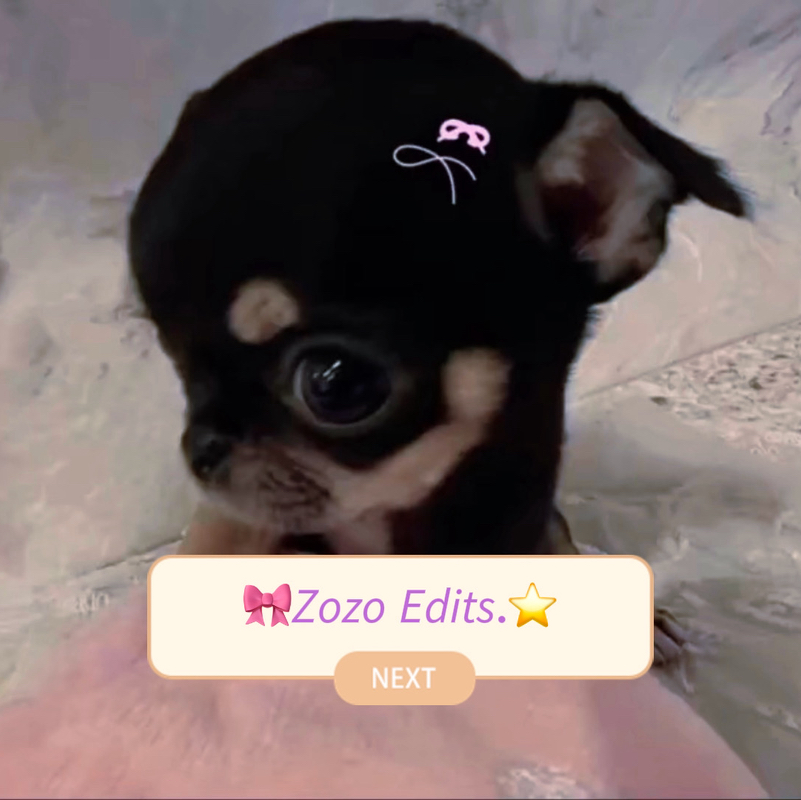 🎀𝘡𝘰𝘻𝘰 𝘌𝘥𝘪𝘵𝘴.⭐️
