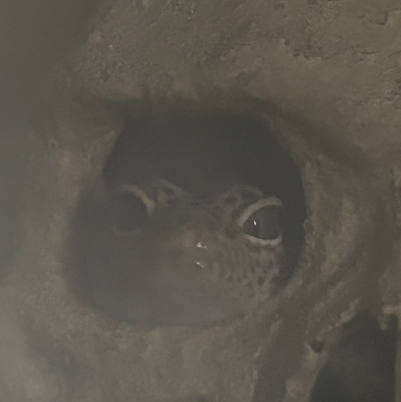 Jurassic.11.🐠🐠🐠🐠🐠🐠🐠🐠