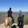 kyn_horses