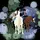KJ_equestrian