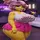 CHIKIUFoXougalse ofo