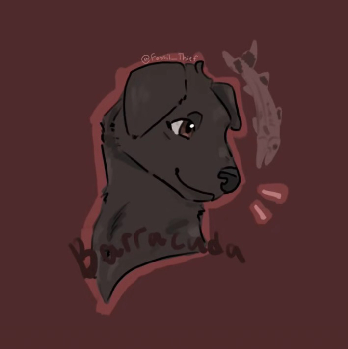 Chronically_Labrador