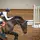 GonzalezShowjumping