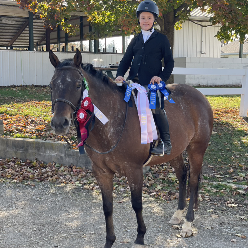 💕🐴jules_eq🐴💕