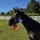 ERO_eventing