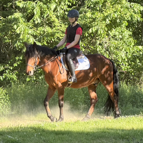 TGL.eventing