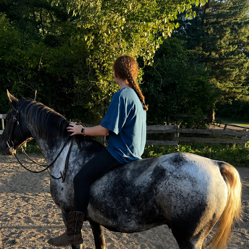✨CG_Equestrian✨