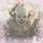 🎀Coquette Pennywise🎀