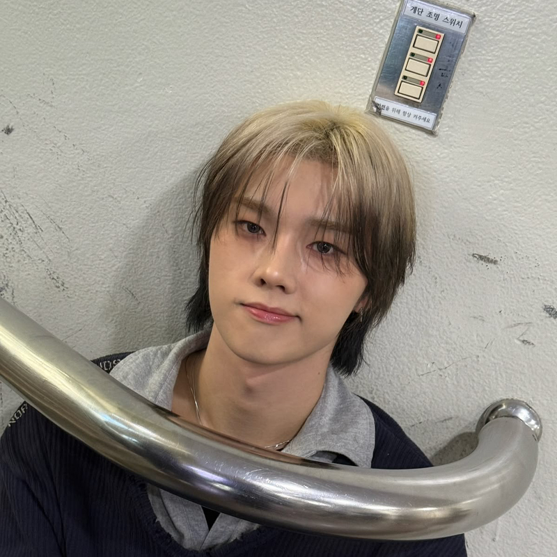 ᓚ₍ ^. .^₎Jungsu ♬⋆.˚