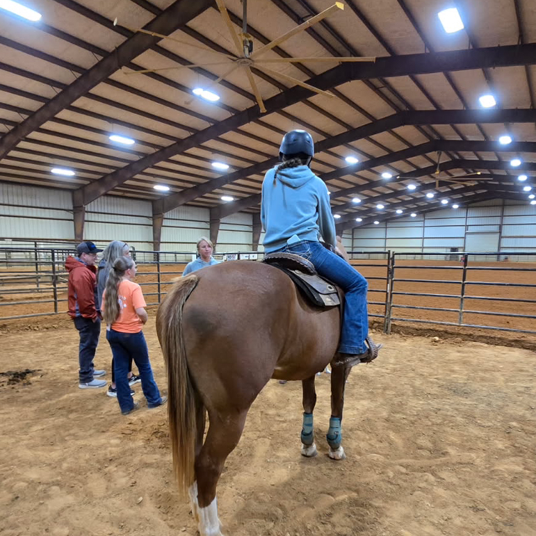 🐎 𝐬𝐡𝐞𝐥𝐛𝐬 🐎