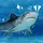 🧷nikko!🦈  GROUNDED