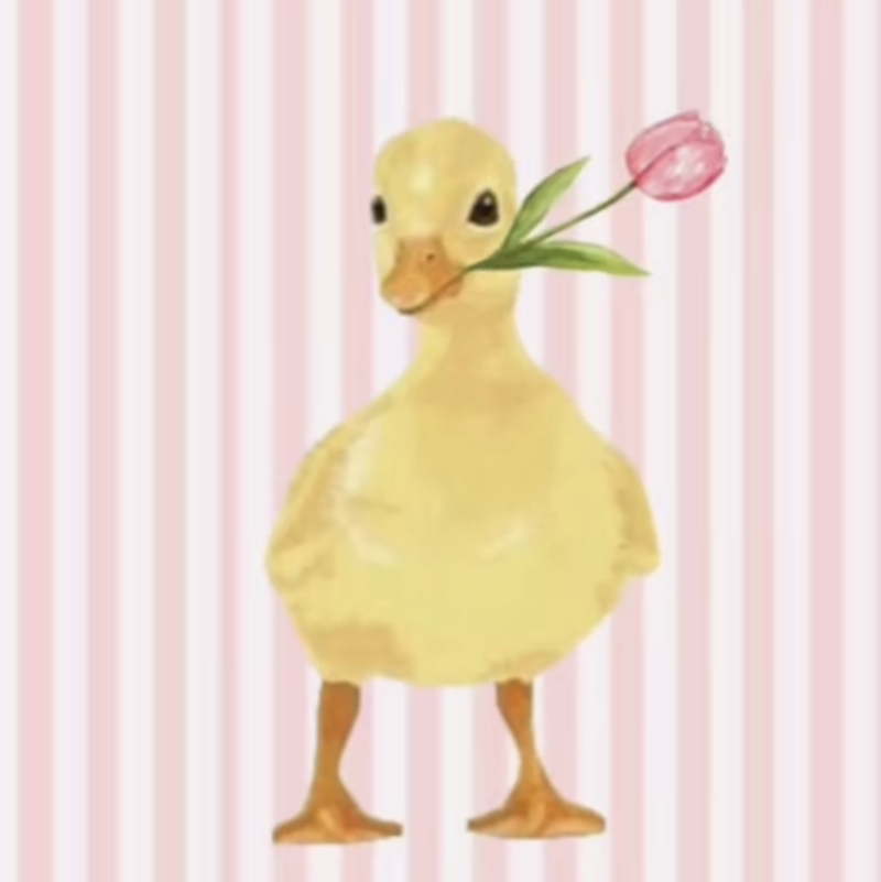 🩰🌊🎀