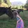 Reinsandringlets