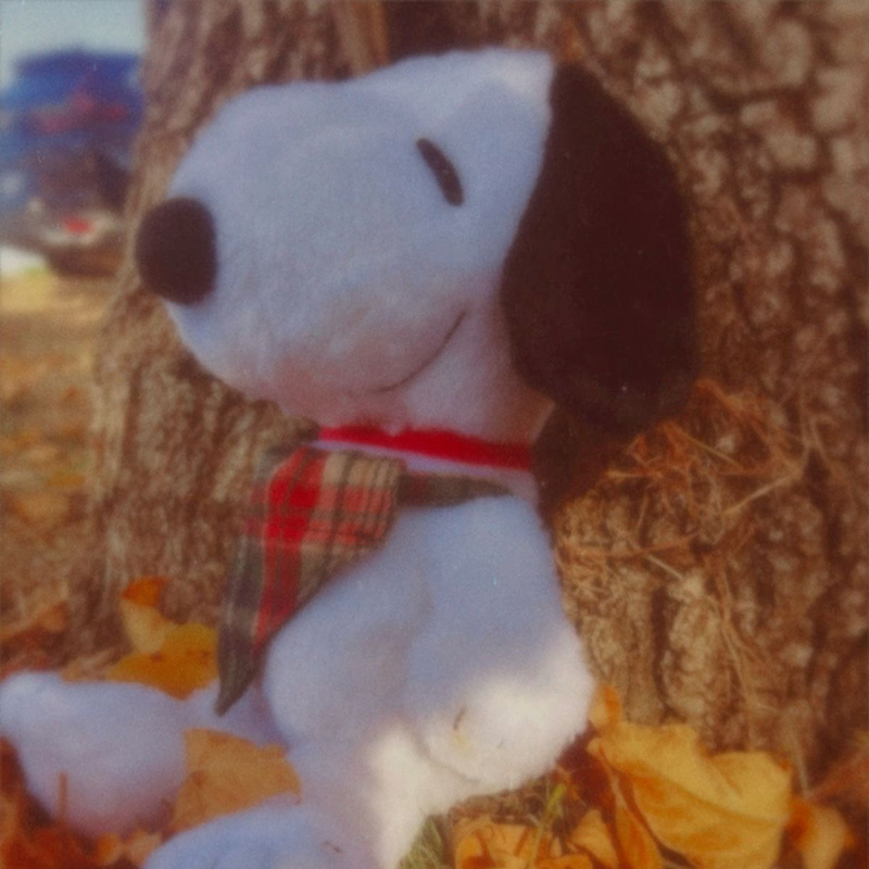 𝐬 𝐚 𝐫 𝐚 𝐡 🍁