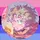 🌸🎵🪐Averi🪐🎵🌸