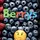 ieatberrys