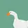 Duck Official