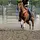 Ace_BarrelRacing