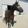 Browniemypony_eq