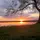 sunset chaser 
