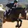 lilly_eq