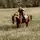 Barrel racing⚡️🛢️