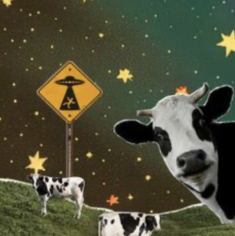 Jelly cow