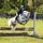 Claire.Equestrian