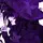 ᯓ⊹˚𝓶𝓸𝓺𝓪 .𖥔 ݁ ˖๋ ࣭ ⭑