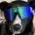 Dudemann1234