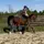 L.A.equestrian ྀིྀི