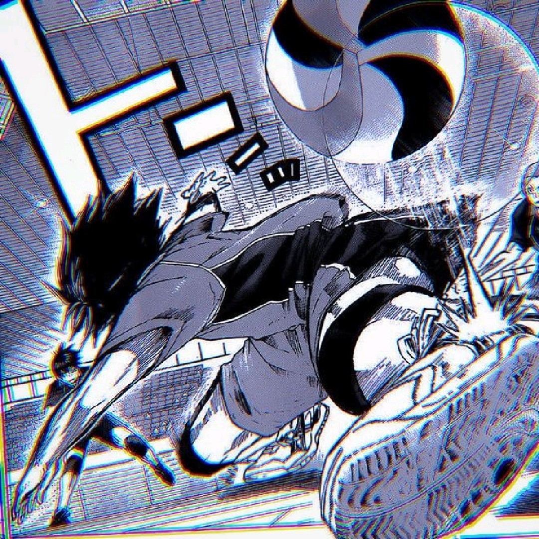 🏐 N0YA !!
