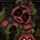 SUBGLITCH