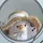 Lavi