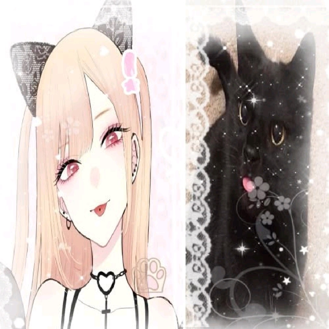 ˗ˋˏ koolwak ˎˊ-
