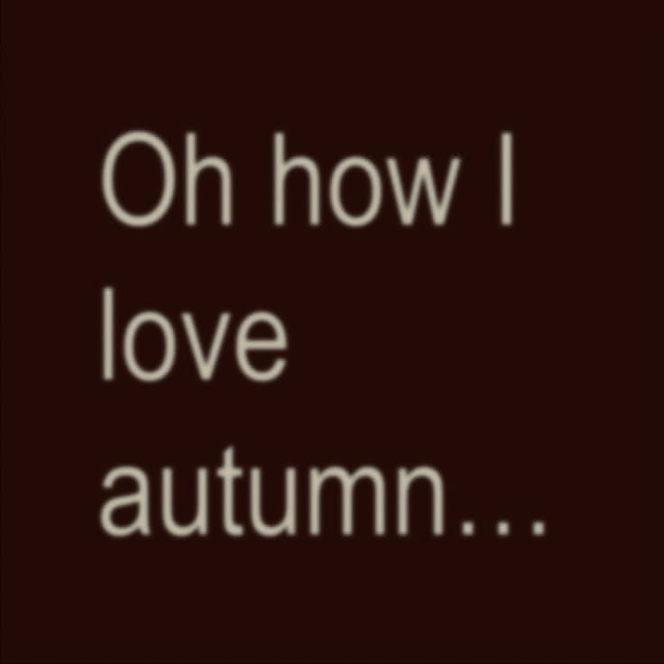 𝐄𝐯𝐞𝐝𝐢𝐭𝐳. 🍂