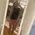 sadiequinn_02