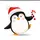 king penguin🐧 