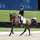 Amk.equestrian