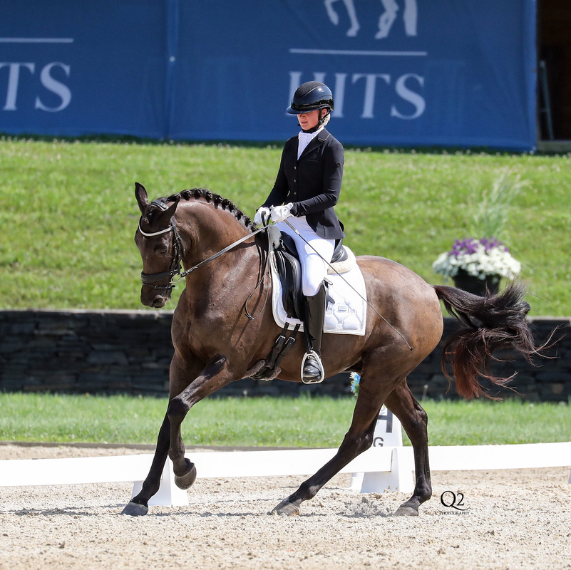 Amk.equestrian