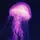 💜ᴊᴏᴇʏᴛʜᴇᴊᴇʟʟʏ💜