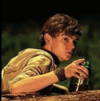 newt 🍂