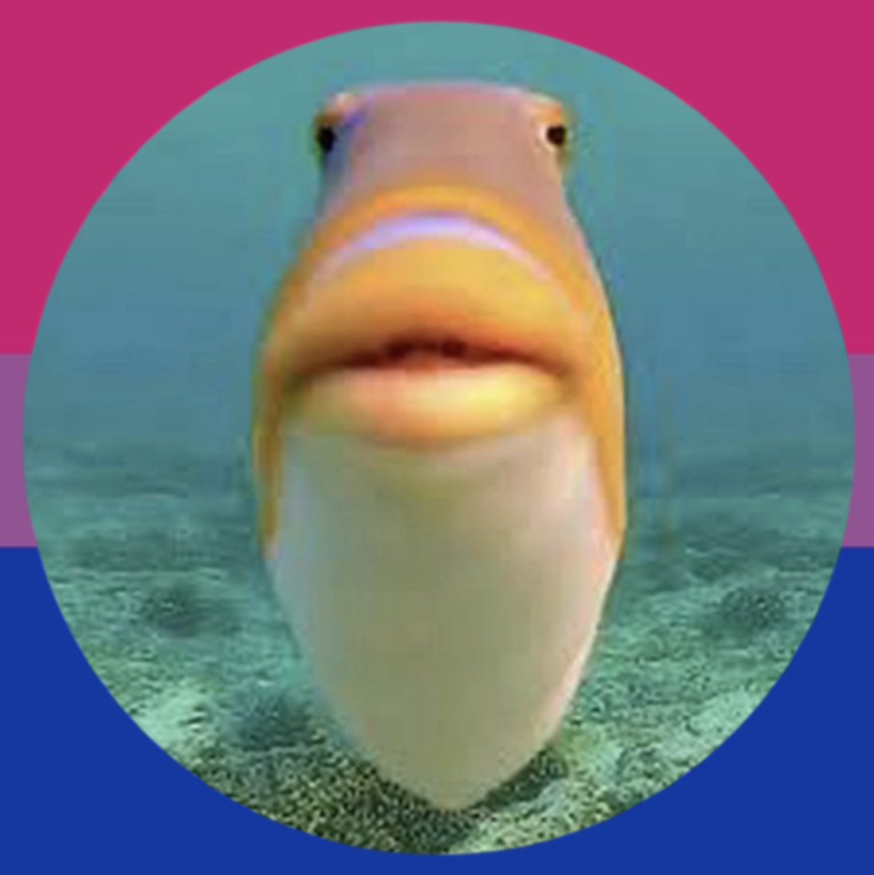🐟 Fish 🐠 | 🐟✊
