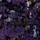 *•☽UrLocal_Lunar☾• -⃝⃤