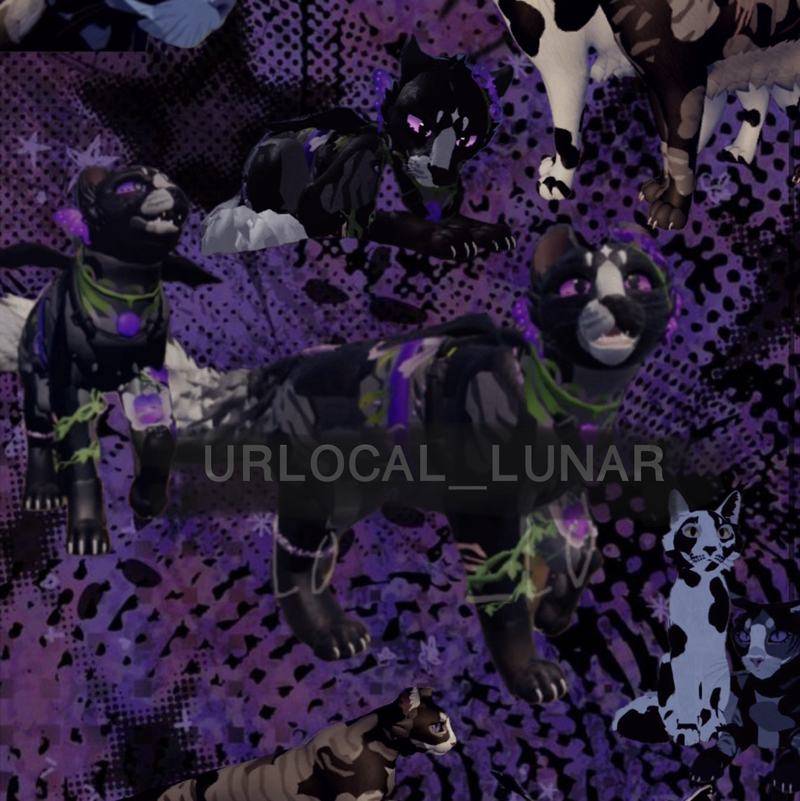 *•☽UrLocal_Lunar☾• -⃝⃤